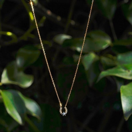 Star Diamond Horseshoe Necklace