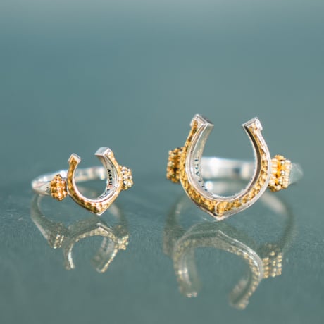 Signet Horseshoe Ring / Pinky Ring