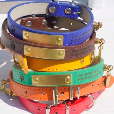 ENGRAVE DOG COLLAR
