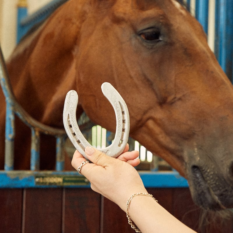 Farm Used Horseshoe | NASU FARM VILLAGE ONLINE