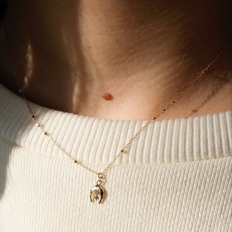 One Diamond Horseshoe Necklace