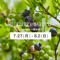 ブルーベリー摘み取り【7/27(月)〜8/2(日)】チケット