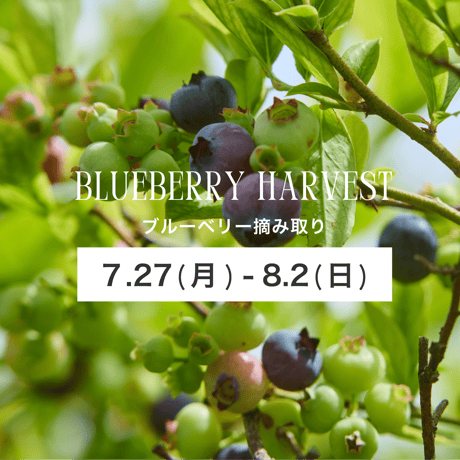 ブルーベリー摘み取り【7/27(月)〜8/2(日)】チケット