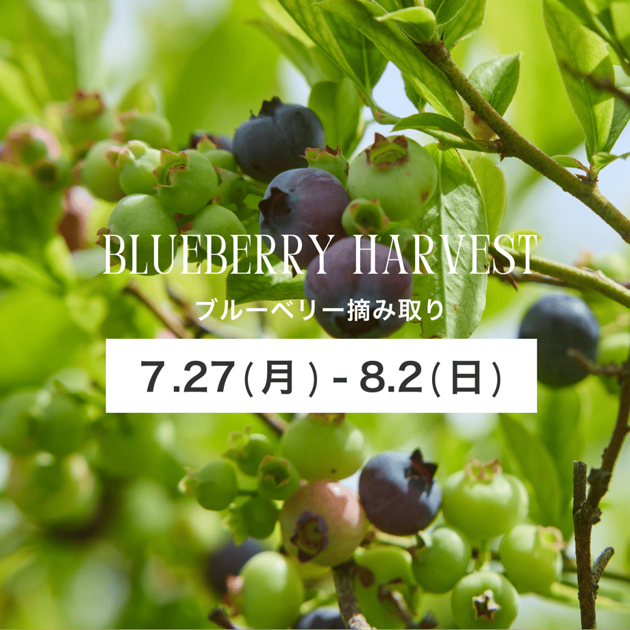 6a40c439a75109e346db59c8