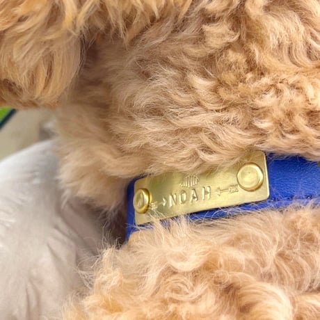ENGRAVE DOG COLLAR