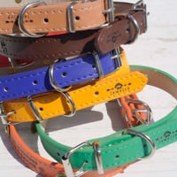 ENGRAVE DOG COLLAR