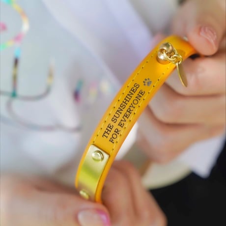 ENGRAVE DOG COLLAR
