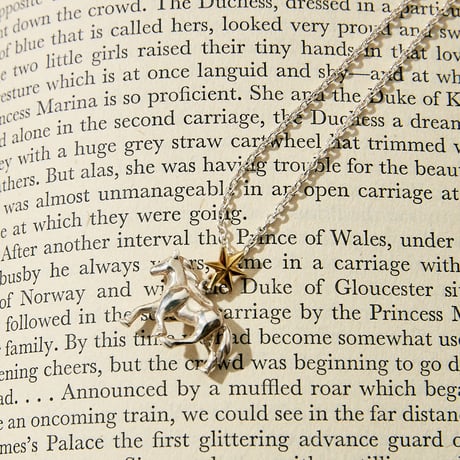 ONE STAR HORSE SILVER NECKLACE TOP
