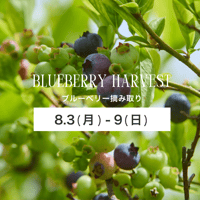 ブルーベリー摘み取り【8/3(月)〜8/9(日)】チケット