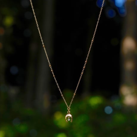 One Diamond Horseshoe Necklace