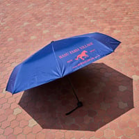 Compact Umbrella