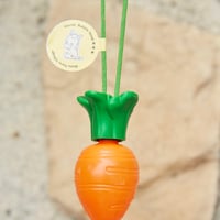 CARROT SOAP BUBBLE