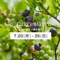 ブルーベリー摘み取り【7/20(月)〜26(日)】チケット