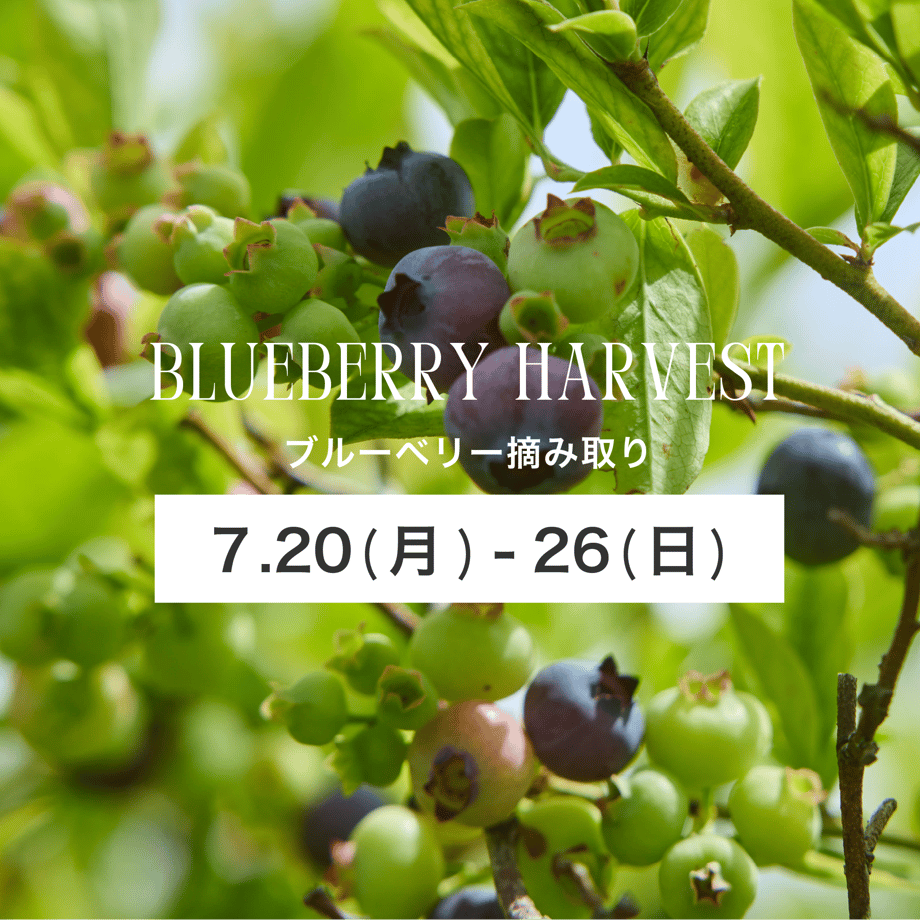 6a40c181e99ff94fc869d6be