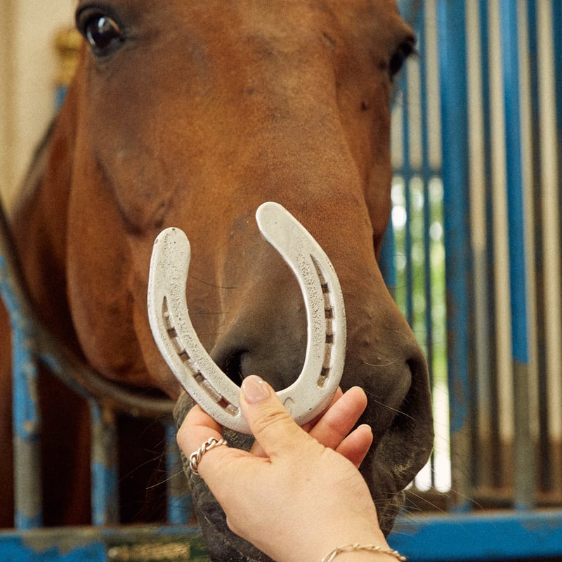 小町ファームページ Farm Used Horseshoe | NASU FARM VILLAGE ONLINE