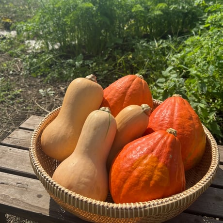 【新品未使用】NASU FARM VILLAGE オリジナルブランケット NASU FARM VILLAGE – KNT365