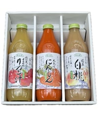 順造選 ジュース3本ギフト