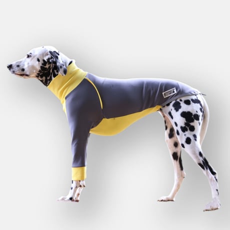 Hyper-stretch Suit　GRAY*YELLOW
