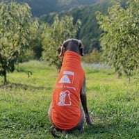 POLeR Collab. High-neck Tank-top　ORANGE　JPY8,100+10%TAX