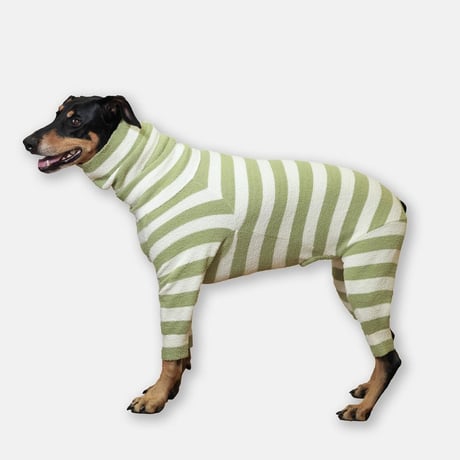 Fuzzy Stripe High-neck Rompers　GREEN Stripe　JPY10,500+10%TAX