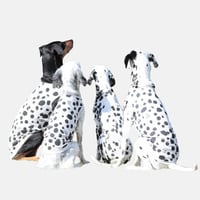Cool Tank top　DALMATIAN　JPY4,800+10%TAX