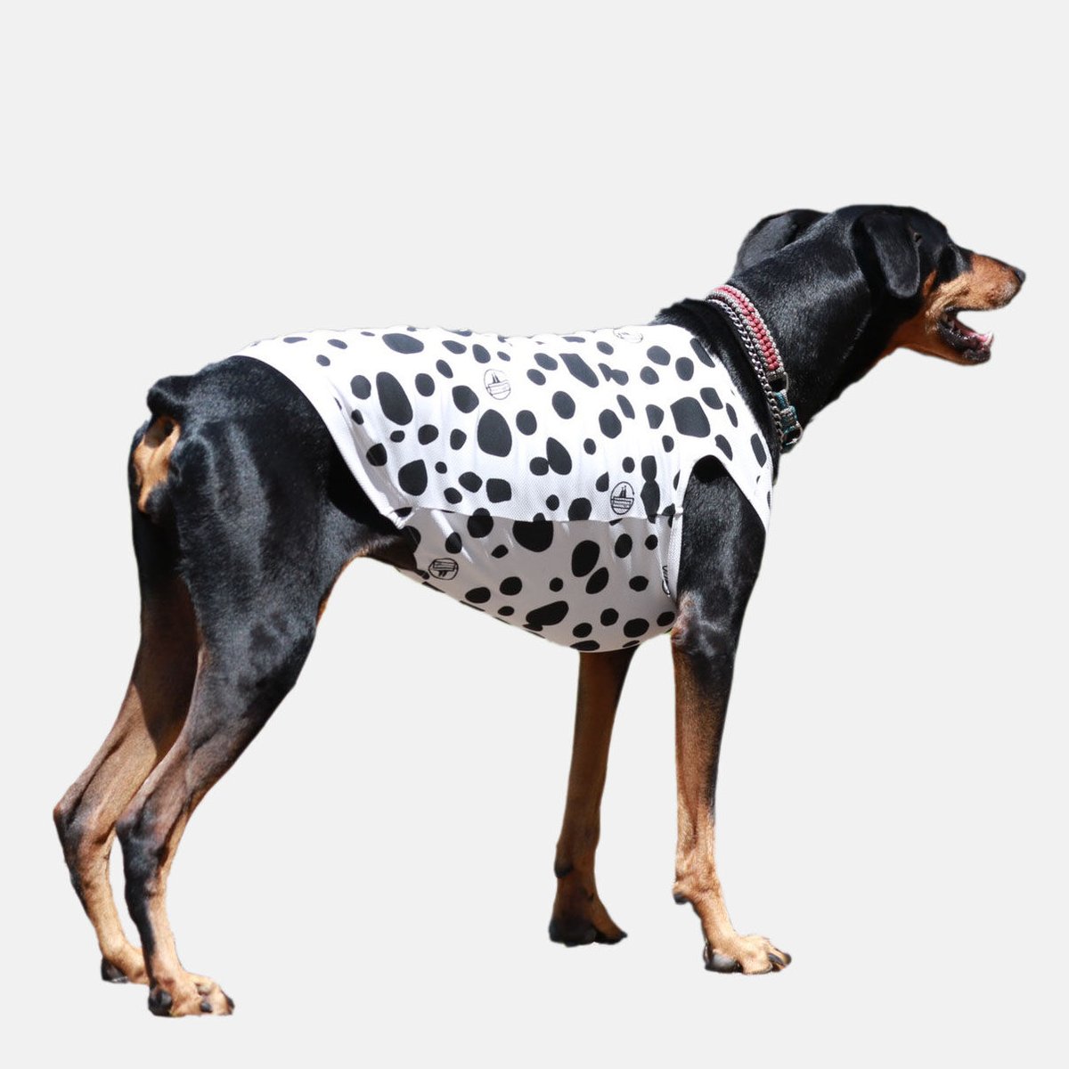 Ann Demeulemeester　犬タンクトップ Ann Demeulemeester 犬タンクトップ - メルカリ