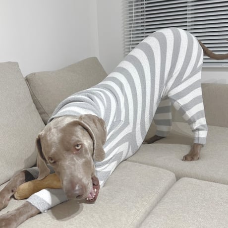 Fuzzy Stripe High-neck Rompers　GRAY Stripe　JPY10,500+10%TAX
