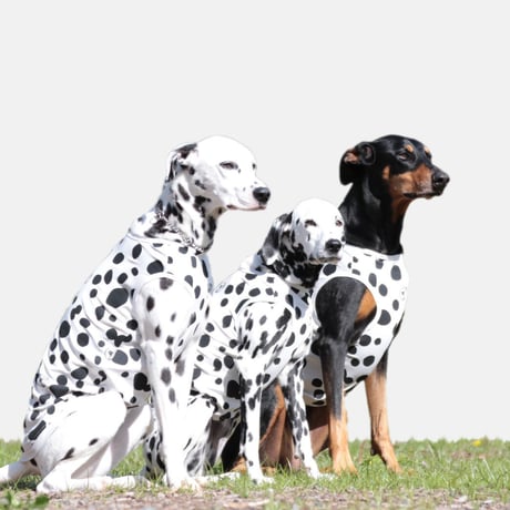 Cool Tank top　DALMATIAN　JPY4,800+10%TAX
