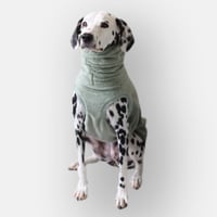 Stretch Fleece High-neck　PISTACHIO (Green)　JPY7,900+10%TAX