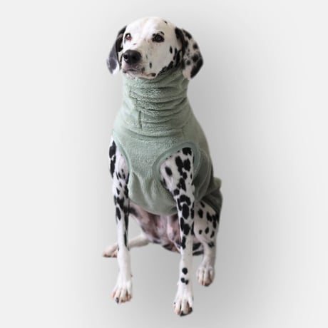 Stretch Fleece High-neck　PISTACHIO (Green)　JPY7,900+10%TAX