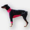 Hyper-stretch Suit　BLACK*PINK　JPY8,900+10%TAX
