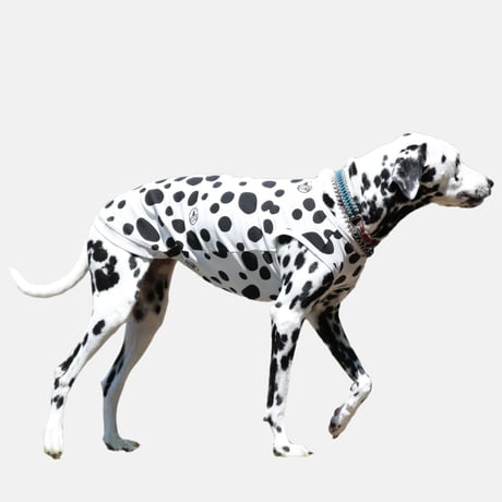 Cool Tank top　DALMATIAN　JPY4,800+10%TAX