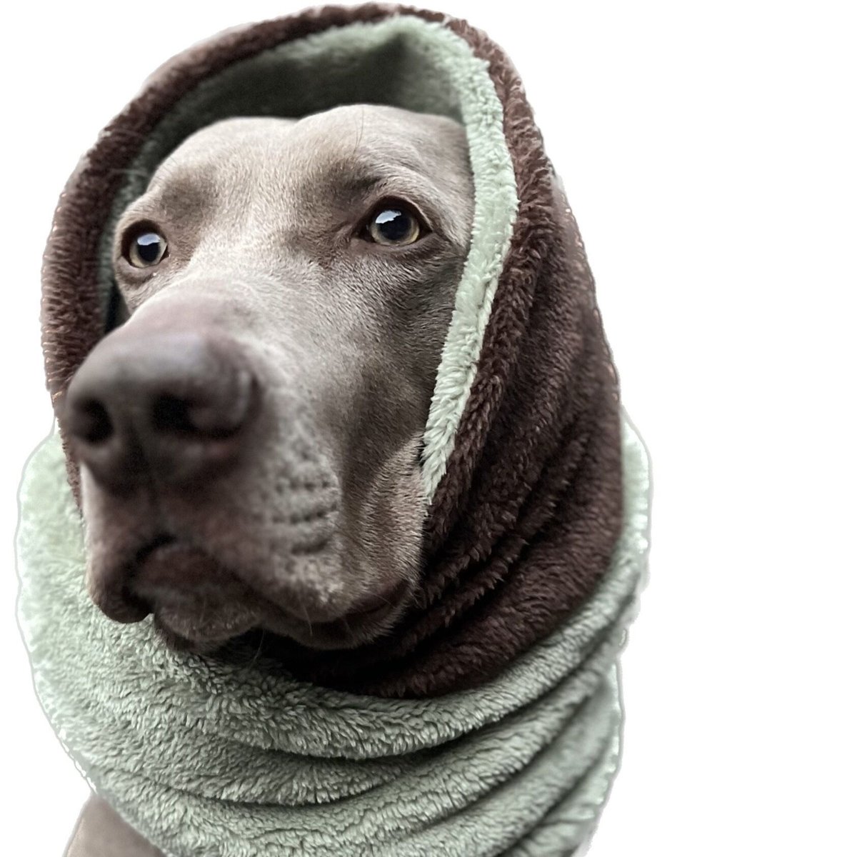 S’YTE スヌード グレー スヌード】 Stretch Fleece Snood JPY5,800+10%TAX | b