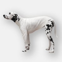 Cable Knit Pullover for Dogs　WHITE　JPY8,900+10%TAX