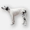Cable Knit Pullover for Dogs WHITE JPY8,900+10%TAX