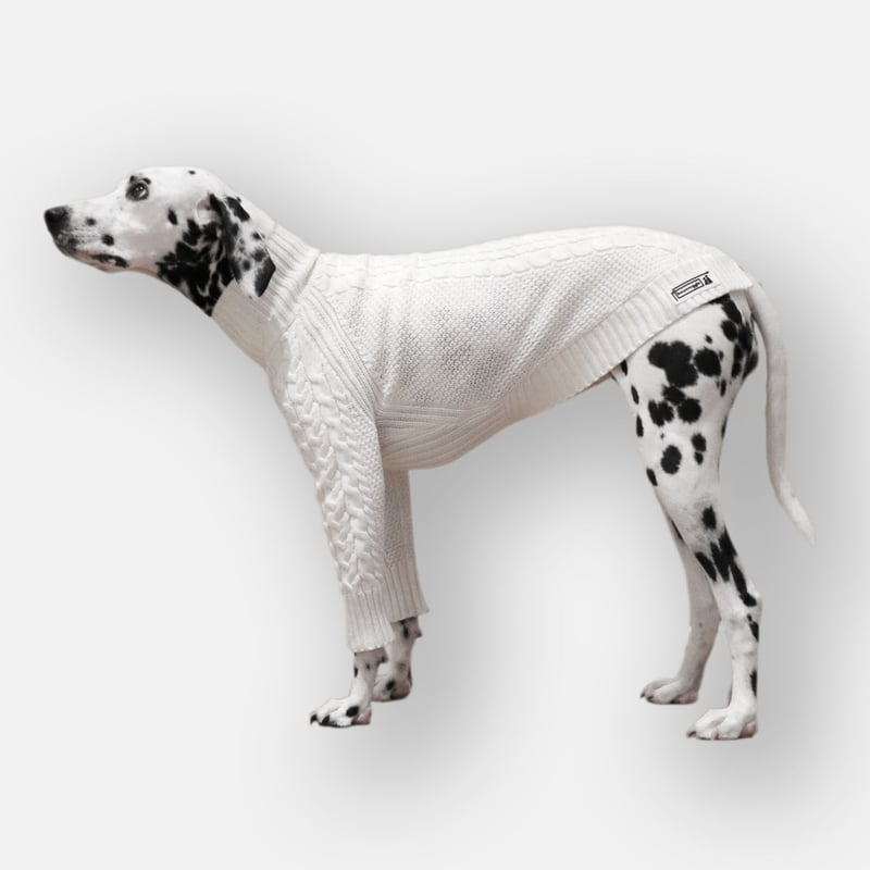 Cable Knit Pullover for Dogs WHITE | bowsnuggle