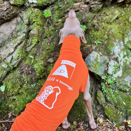 POLeR Collab. High-neck Tank-top　ORANGE　JPY8,100+10%TAX
