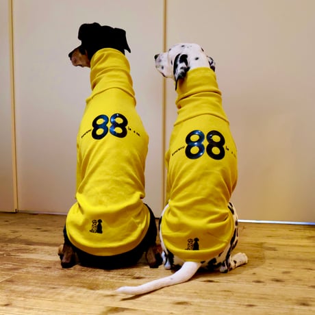 88 STRETCH RIB HIGH-NECK TEE　YELLOW　JPY9,000+10%TAX