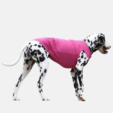 Cool Tank top　PINK　JPY4,800+10%TAX