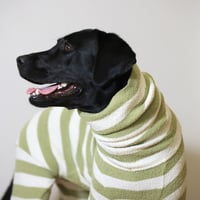 Fuzzy Stripe High-neck Rompers　GREEN Stripe　JPY10,500+10%TAX