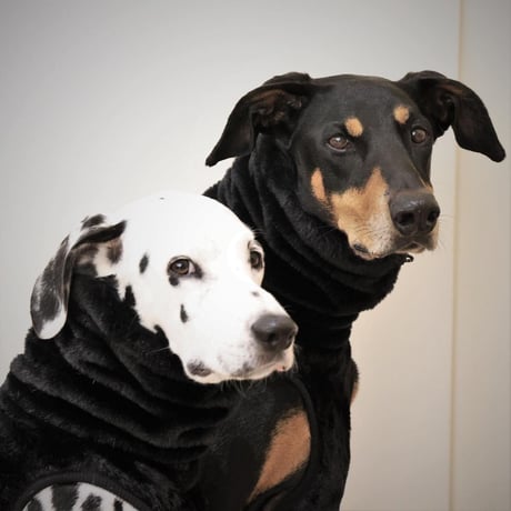 Eco Fur High-neck　BLACK　JPY8,800+10%TAX