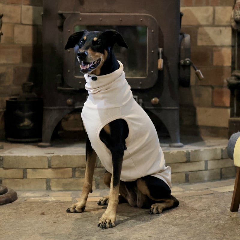 【新品】HRU・HIGH NECK RIB TOPS（OFFWHITE） HIGH NECK THIN RIB TOPS｜TOPS(トップス)｜MANOF OFFICIAL