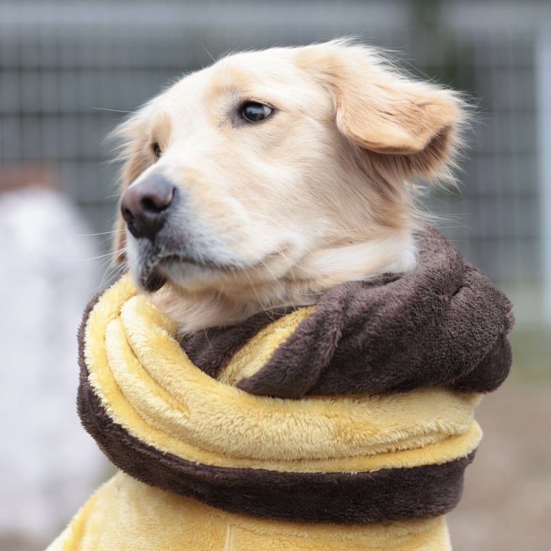 スヌード】 Stretch Fleece Snood JPY5,800+10%TAX | b