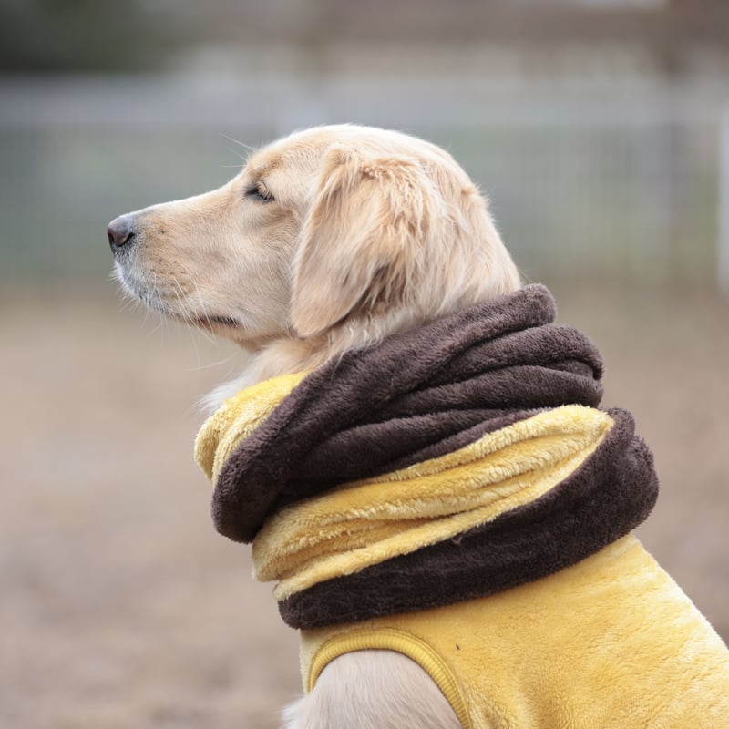 スヌード】 Stretch Fleece Snood JPY5,800+10%TAX | b