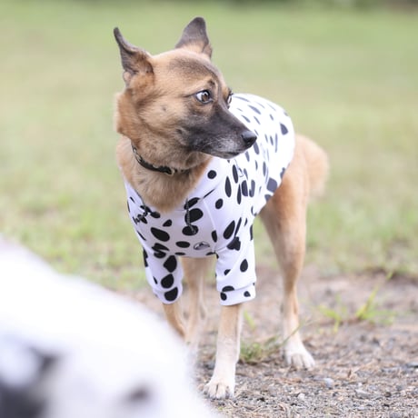 【小型犬用】　DARE-DAL Hoodie mini　JPY5,200+10%TAX