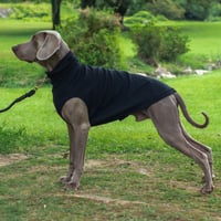 Stretch Rib High-neck　BLACK　JPY7,200+10%TAX
