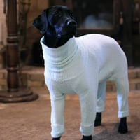 Fluffy Warm High-neck Rompers　SODA (blue)　JPY10,800+10%TAX