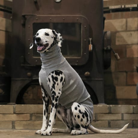 Stretch Rib High-neck　HEATHER GRAY　JPY7,200+10%TAX