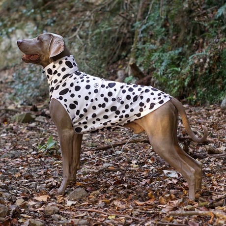 DARE-DAL Ⅱ High-neck　DALMATIAN　JPY7,600+10%TAX