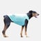 Cool Tank top　BLUE　JPY4,800+10%TAX